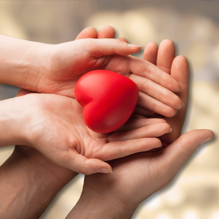 two_hands_one_heart
